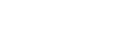 Vittpulse Logo